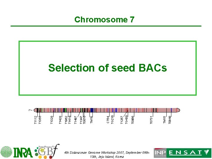 Chromosome 7 4 th Solanaceae Genome Workshop 2007, September 09 th 13 th, Jeju