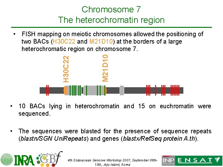 Chromosome 7 The heterochromatin region M 21 D 10 H 30 C 22 •