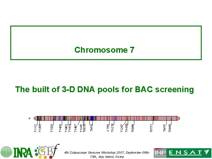 Chromosome 7 4 th Solanaceae Genome Workshop 2007, September 09 th 13 th, Jeju
