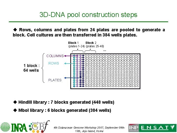 3 D-DNA pool construction steps u Rows, columns and plates from 24 plates are
