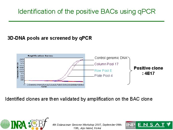 Identification of the positive BACs using q. PCR 3 D-DNA pools are screened by