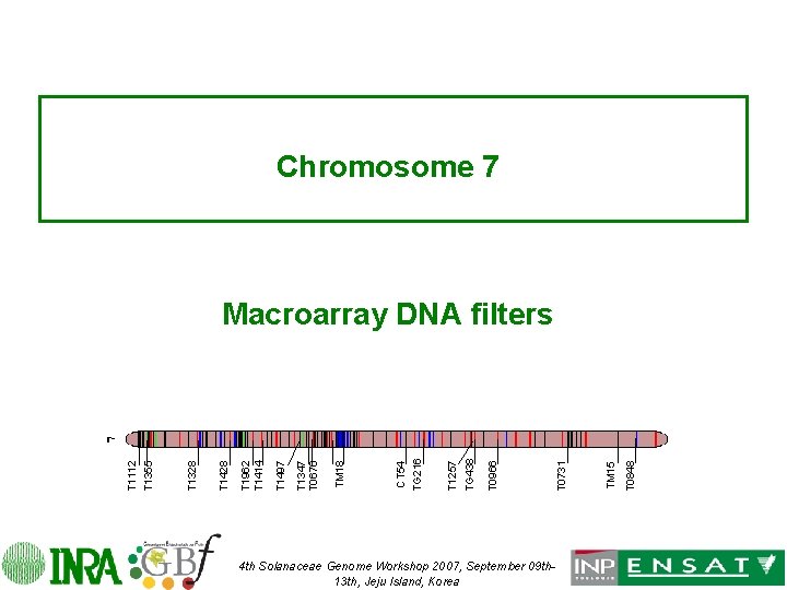 Chromosome 7 4 th Solanaceae Genome Workshop 2007, September 09 th 13 th, Jeju