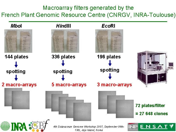 Macroarray filters generated by the French Plant Genomic Resource Centre (CNRGV, INRA-Toulouse) Mbo. I