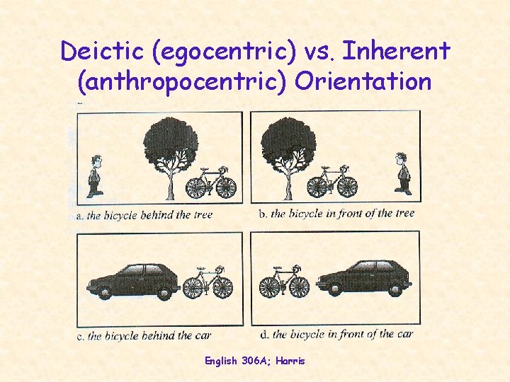 Deictic (egocentric) vs. Inherent (anthropocentric) Orientation English 306 A; Harris Deictic (egocentric) vs. Inherent (anthropocentric) Orientation English 306 A; Harris