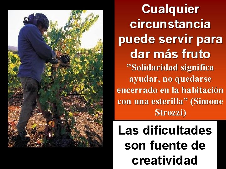 Cualquier circunstancia puede servir para dar más fruto ”Solidaridad significa ayudar, no quedarse encerrado