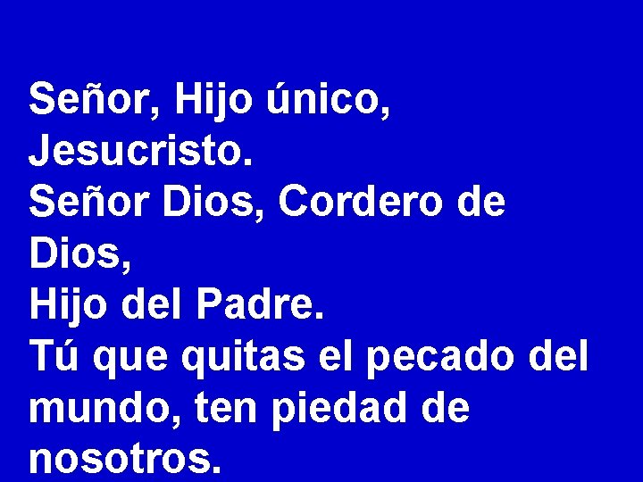 Señor, Hijo único, Jesucristo. Señor Dios, Cordero de Dios, Hijo del Padre. Tú que