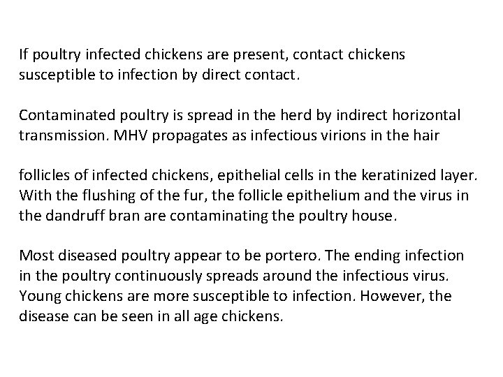 If poultry infected chickens are present, contact chickens susceptible to infection by direct contact.