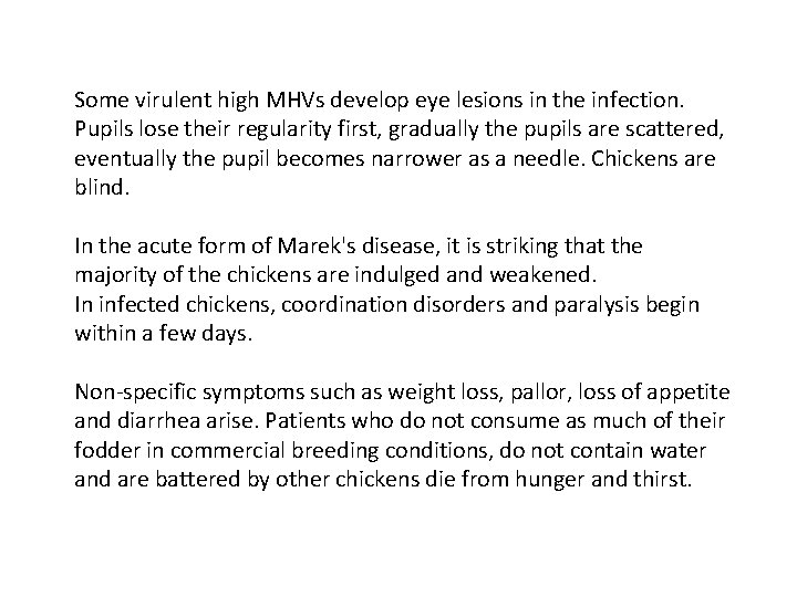 Some virulent high MHVs develop eye lesions in the infection. Pupils lose their regularity