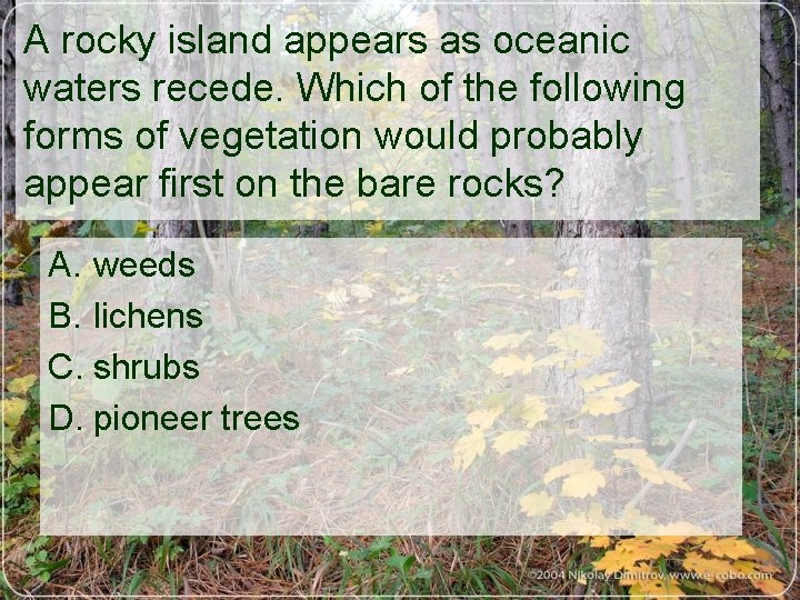 A rocky island appears as oceanic waters recede. Which of the following forms of