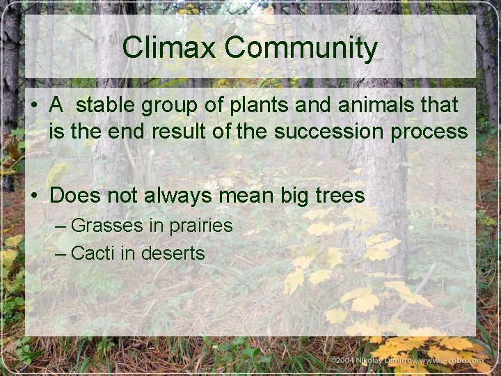 Climax Community • A stable group of plants and animals that is the end