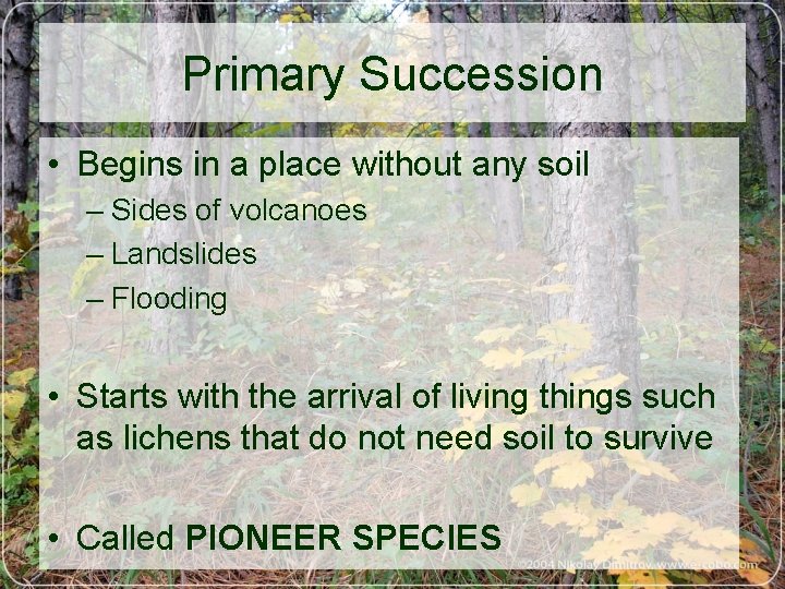 Primary Succession • Begins in a place without any soil – Sides of volcanoes