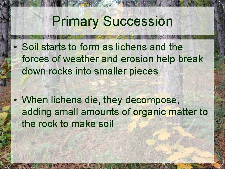 Primary Succession • Soil starts to form as lichens and the forces of weather