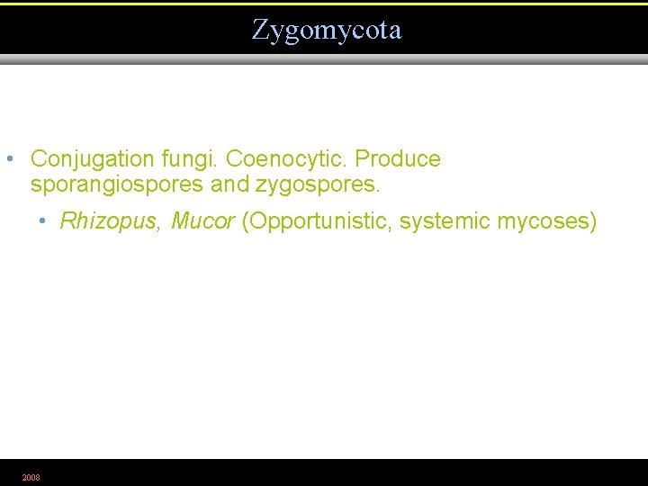 MICROBIOLOGY Chapter 12 The Eukaryotes Fungi Algae Protozoa