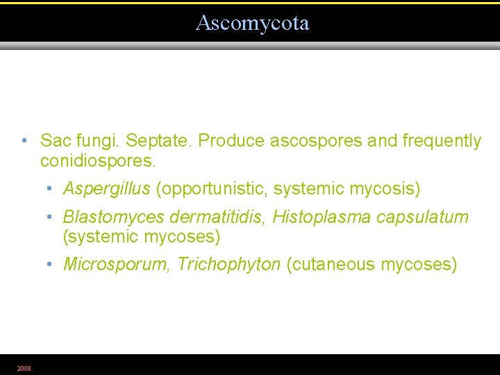 Ascomycota • Sac fungi. Septate. Produce ascospores and frequently conidiospores. • Aspergillus (opportunistic, systemic