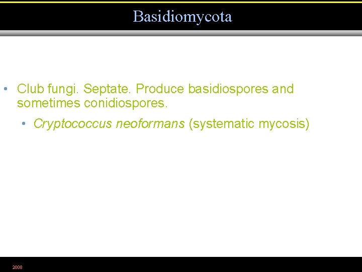 Basidiomycota • Club fungi. Septate. Produce basidiospores and sometimes conidiospores. • Cryptococcus neoformans (systematic