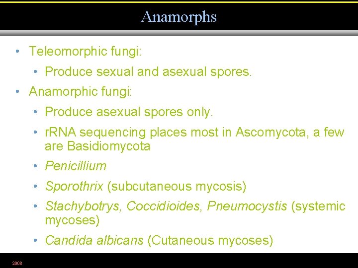 Anamorphs • Teleomorphic fungi: • Produce sexual and asexual spores. • Anamorphic fungi: •