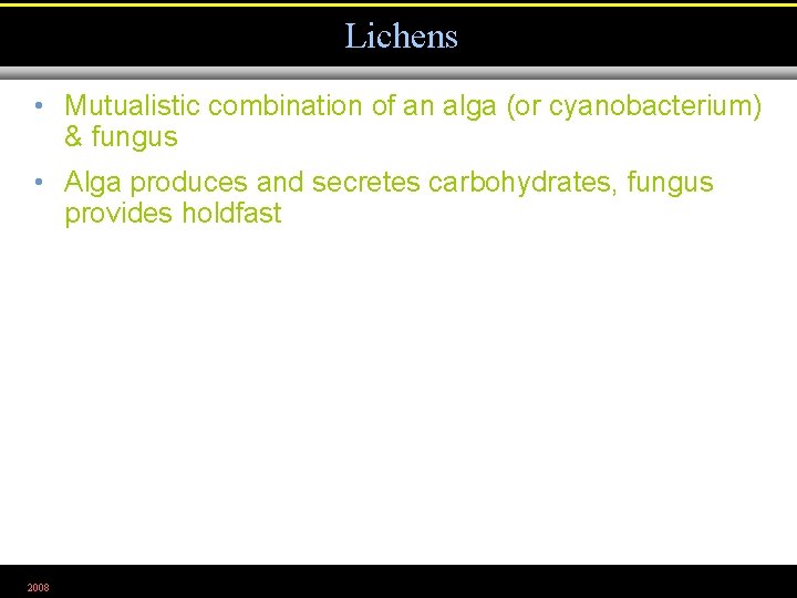 Lichens • Mutualistic combination of an alga (or cyanobacterium) & fungus • Alga produces