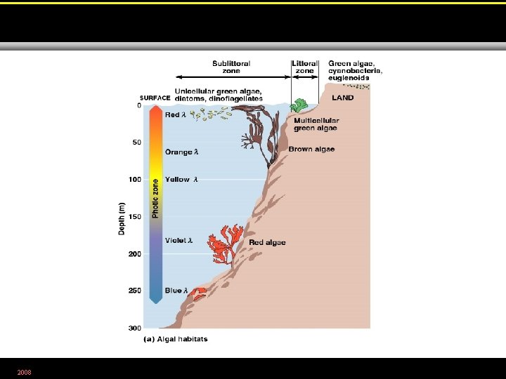 2008 Figure 12. 11 a 