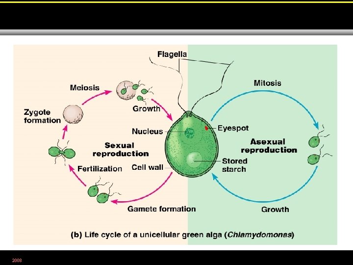 2008 Figure 12. 12 b 
