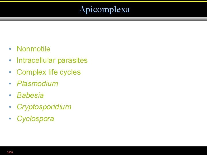 Apicomplexa • Nonmotile • Intracellular parasites • Complex life cycles • Plasmodium • Babesia