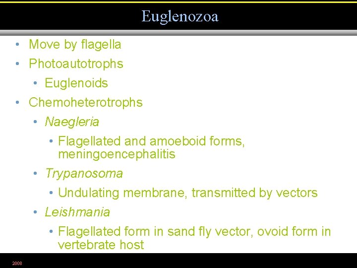 Euglenozoa • Move by flagella • Photoautotrophs • Euglenoids • Chemoheterotrophs • Naegleria •