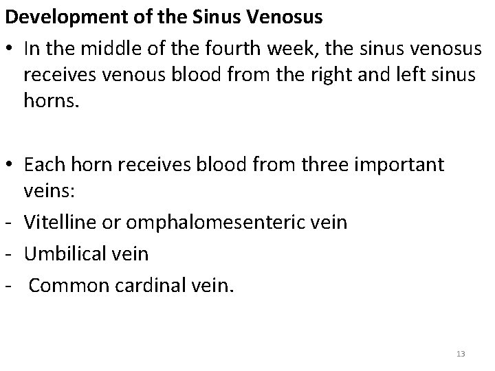 Development of the Sinus Venosus • In the middle of the fourth week, the
