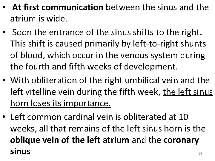  • At first communication between the sinus and the atrium is wide. •