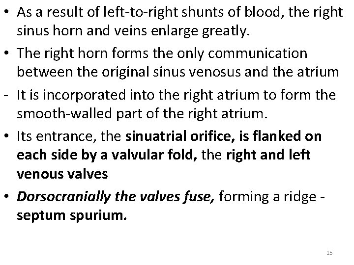  • As a result of left-to-right shunts of blood, the right sinus horn