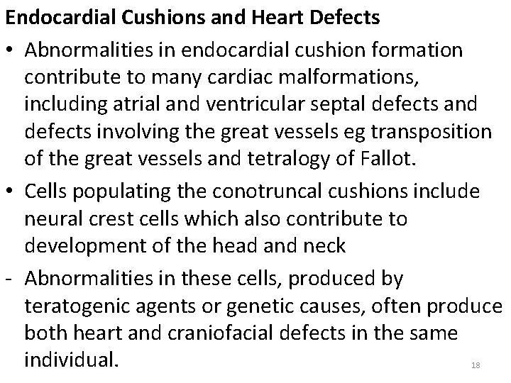 Endocardial Cushions and Heart Defects • Abnormalities in endocardial cushion formation contribute to many