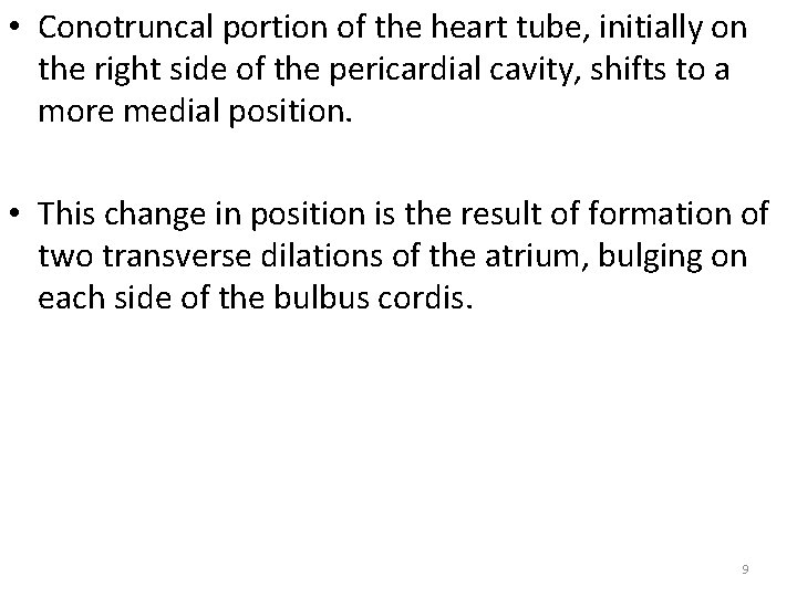  • Conotruncal portion of the heart tube, initially on the right side of
