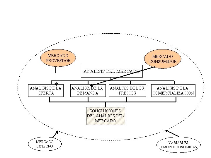 MERCADO PROVEEDOR MERCADO CONSUMIDOR ANALISIS DEL MERCADO ANÁLISIS DE LA OFERTA ANÁLISIS DE LA