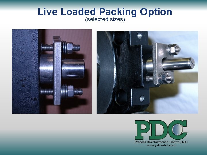 Live Loaded Packing Option (selected sizes) 