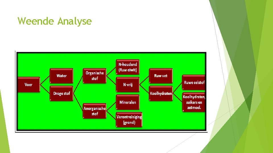 Weende Analyse 