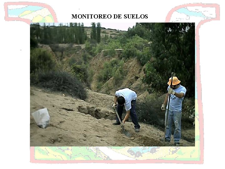 MONITOREO DE SUELOS 