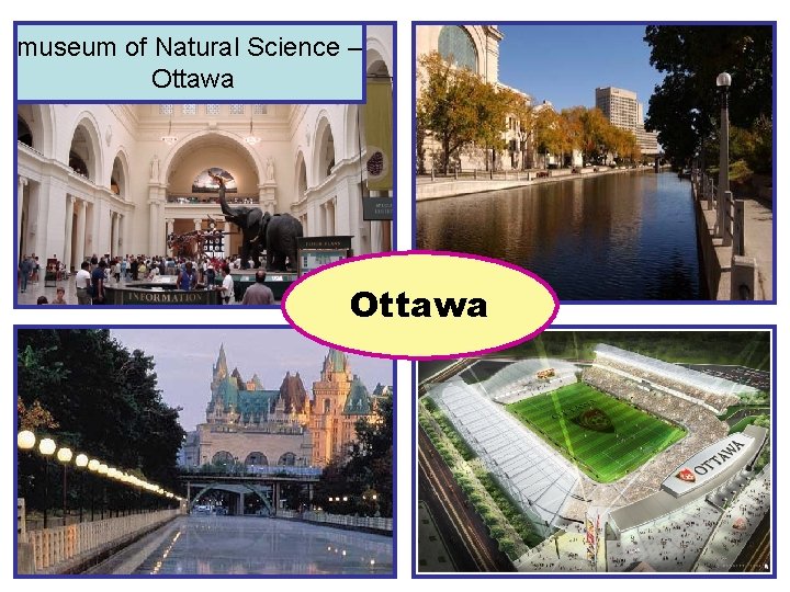 museum of Natural Science – Ottawa 