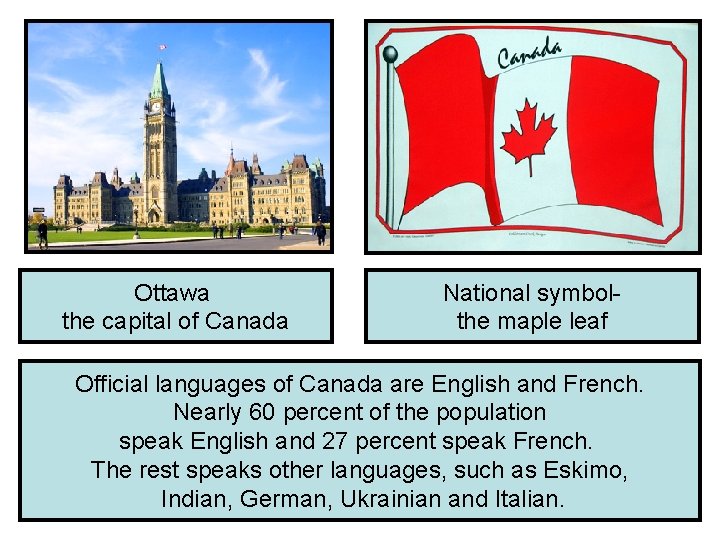Ottawa the capital of Canada National symbolthe maple leaf Official languages of Canada are