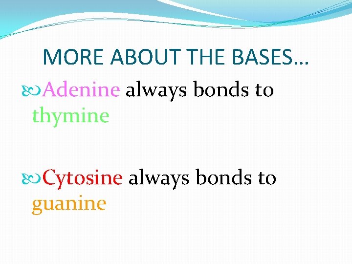 MORE ABOUT THE BASES… Adenine always bonds to thymine Cytosine always bonds to guanine