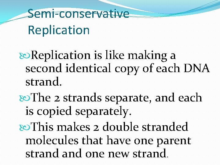 Semi-conservative Replication is like making a second identical copy of each DNA strand. The