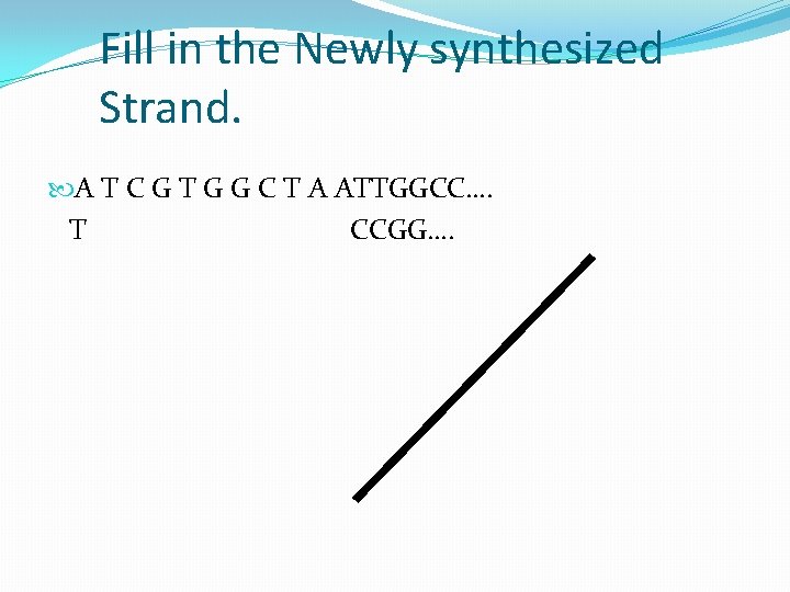 Fill in the Newly synthesized Strand. A T C G T G G C