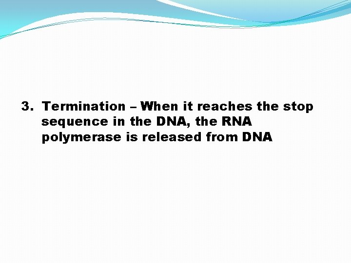 3. Termination – When it reaches the stop sequence in the DNA, the RNA