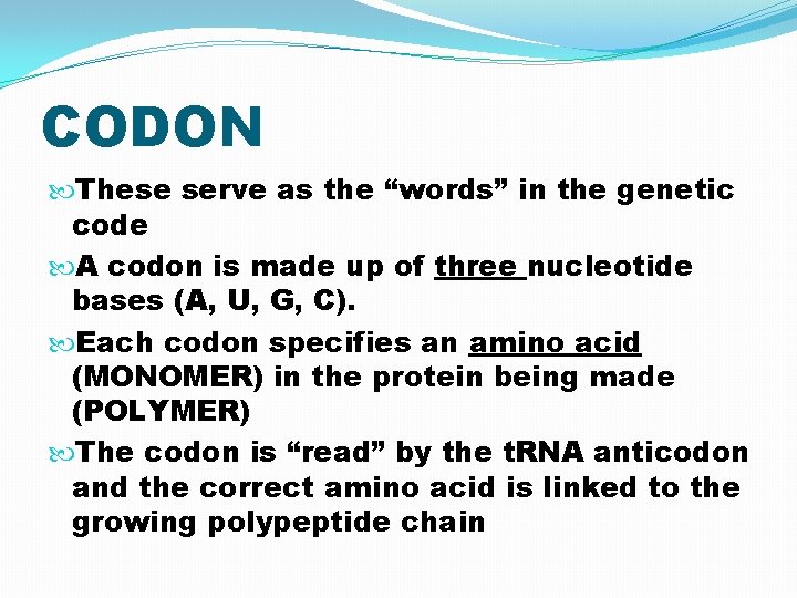 CODON These serve as the “words” in the genetic code A codon is made