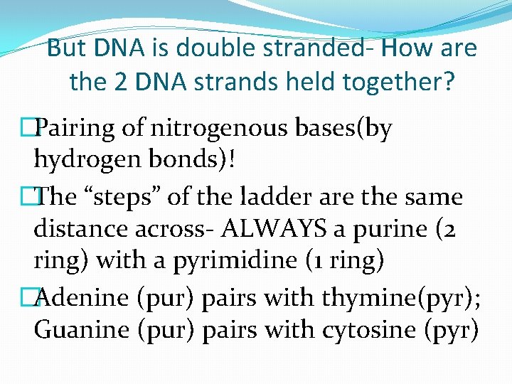 But DNA is double stranded- How are the 2 DNA strands held together? �Pairing
