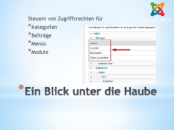 Steuern von Zugriffsrechten für *Kategorien *Beiträge *Menüs *Module * 