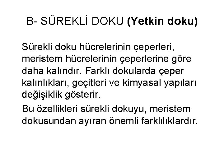 B- SÜREKLİ DOKU (Yetkin doku) Sürekli doku hücrelerinin çeperleri, meristem hücrelerinin çeperlerine göre daha