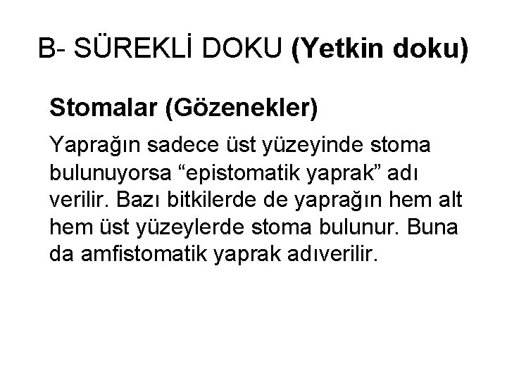 B- SÜREKLİ DOKU (Yetkin doku) Stomalar (Gözenekler) Yaprağın sadece üst yüzeyinde stoma bulunuyorsa “epistomatik