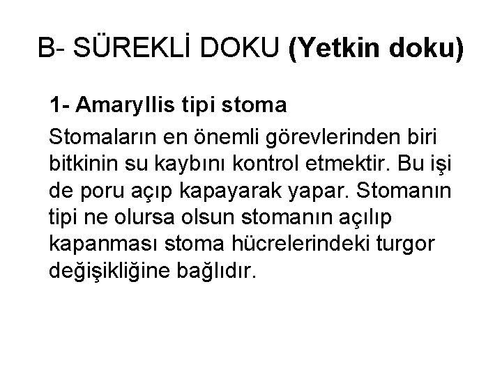 B- SÜREKLİ DOKU (Yetkin doku) 1 - Amaryllis tipi stoma Stomaların en önemli görevlerinden