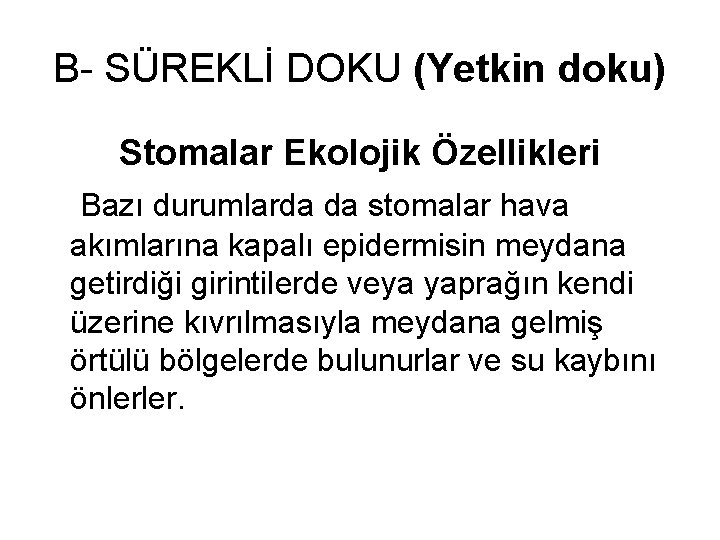 B- SÜREKLİ DOKU (Yetkin doku) Stomalar Ekolojik Özellikleri Bazı durumlarda da stomalar hava akımlarına