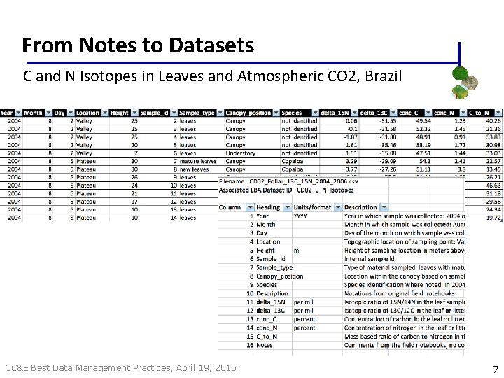 From Notes to Datasets C and N Isotopes in Leaves and Atmospheric CO 2,