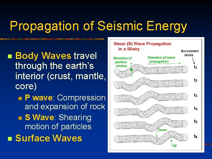 Propagation of Seismic Energy n Body Waves travel through the earth’s interior (crust, mantle,