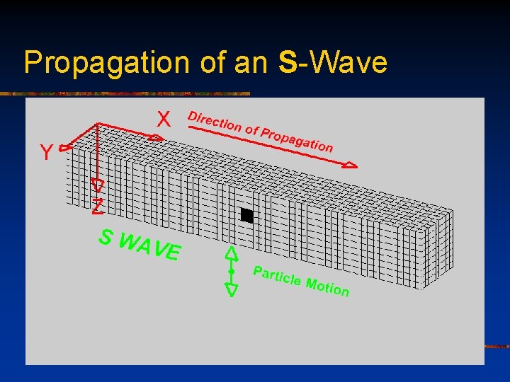 Propagation of an S-Wave 